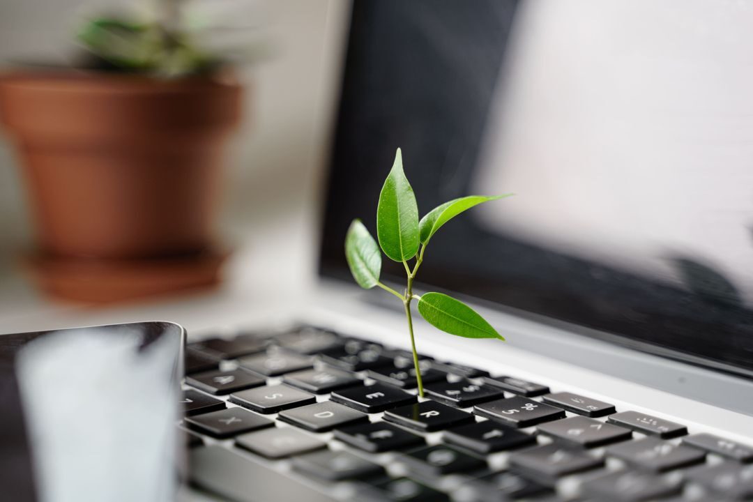 Environmental Benefits of Renting Laptops 2