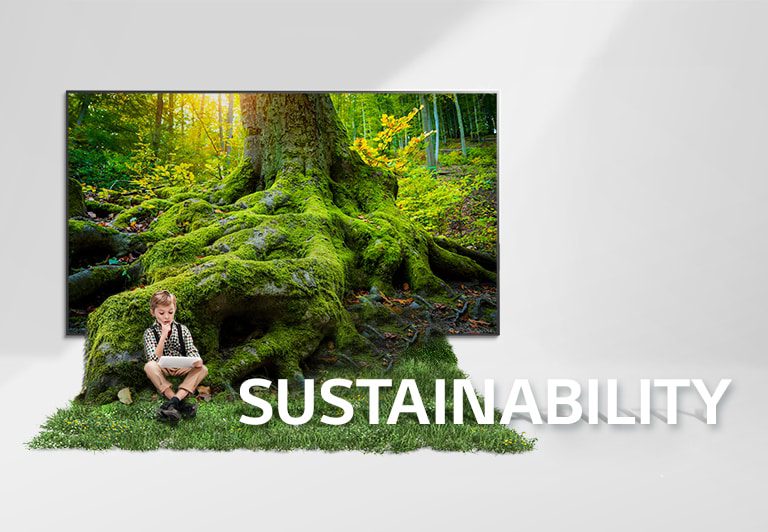 Eco-Friendly Practices in Renting Televisions